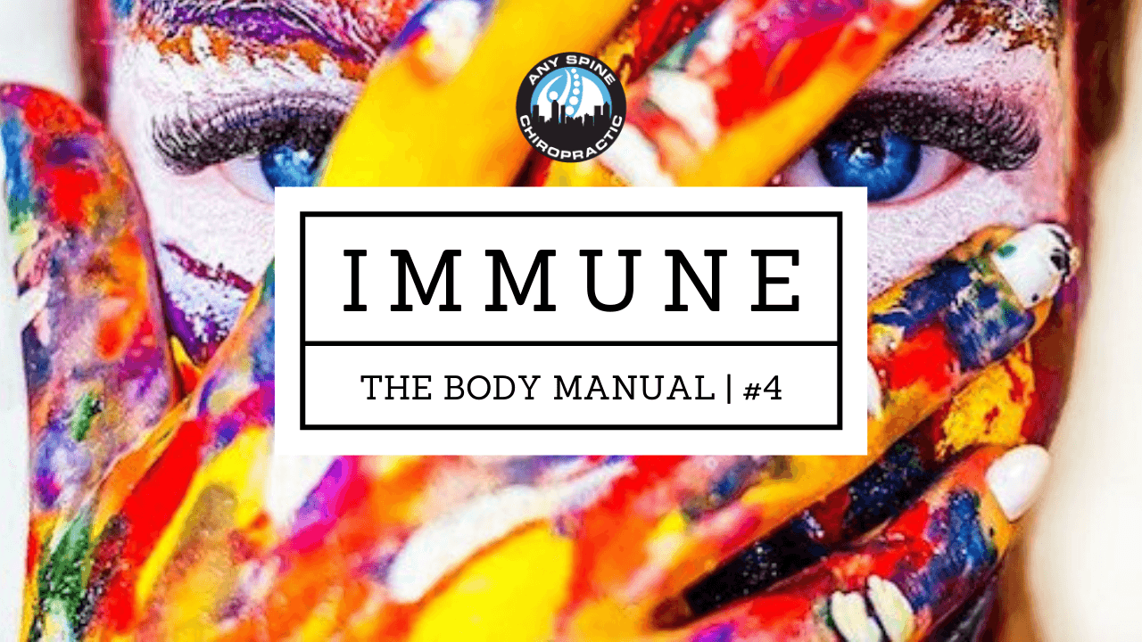 The Body Manual: Lecture 4 | Immunity